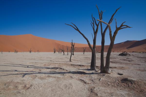 Das Deadvlei am Nachmittag