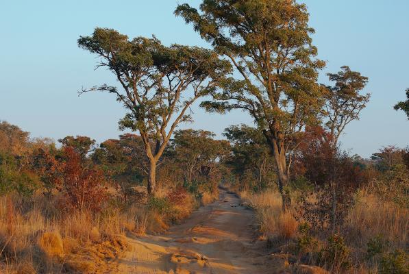 Landschaft im Welgevonden Game Reserve