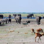 An der Chobe Riverfront