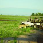 Safarifahrt Chobe Riverfront