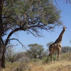 Namibia Rundreise - Düsternbrook