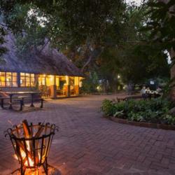 Island Safari Lodge, Maun