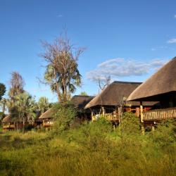 Chalets - Nata Lodge