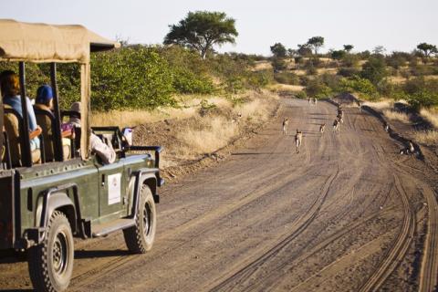 Auf Safarifahrt im Tuli Game Reserve