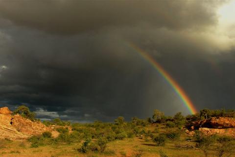 Tuli Block Landschaft 