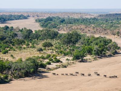 Der Limpopo Fluss in der Tuli Wilderness