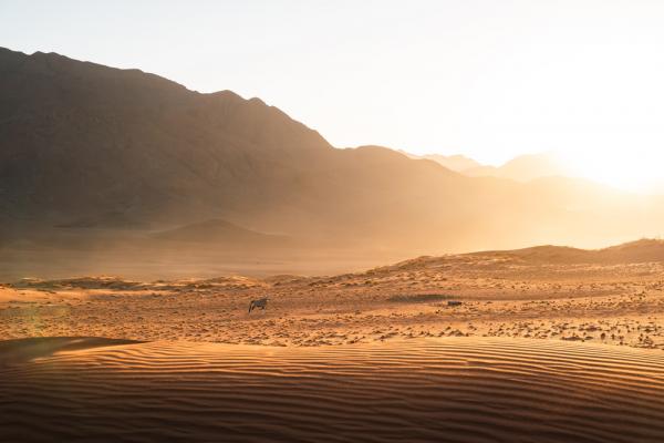 Wolvedans Collection - Namib Rand Nature Reserve