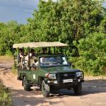 Auf Safarifahrt im Chobe National Park 