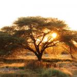 14 Tage Kleingruppenreise im 4x4 in Namibia - Landschaft