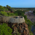 Mashatu Euphorbia Villas - Das Nest 