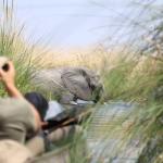 Mokoro Tour in Botswana im Okavango Delta 