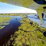 Das Okavango Delta aus der Luft erleben