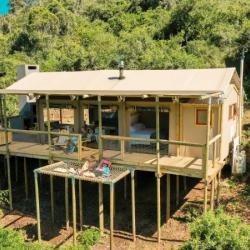 Africamps Addo - Glamping in der Natur