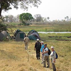 Fußwanderung im Okavango Delta