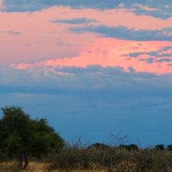 Sonnenuntergang in der Kalahari - Kalahari Calling UG 