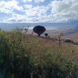 In Ngorongoro Krater, Tansania 