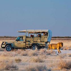 Okaukuejo Camp, Etosha Safarifahrt 