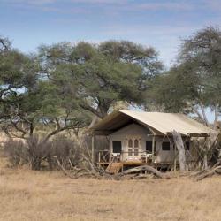 Somalisa Expeditions Zelt