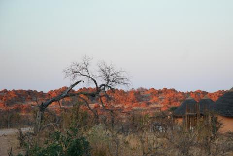 Leokwe Camp im Abendlicht