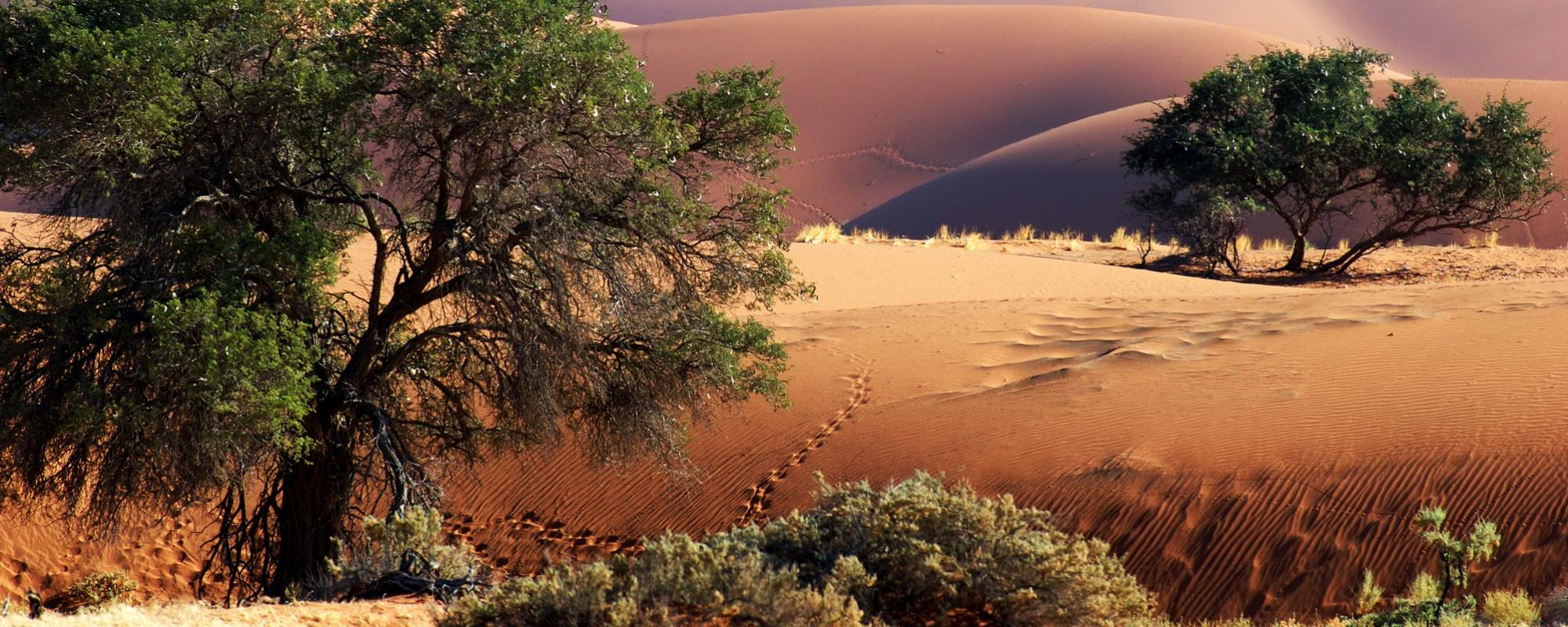 Selbstfahrer Rundreise durch Namibia